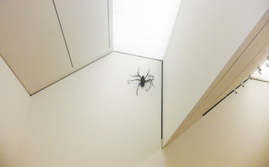 Louise Bourgeois (1911–2010) Spider IV, 1996 Bronce / 