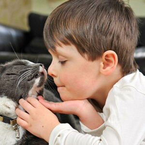 Niño con autismo interactuando con un gato