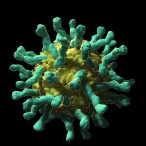 La infección del VIH, vinculada a un menor riesgo de esclerosis múltiple