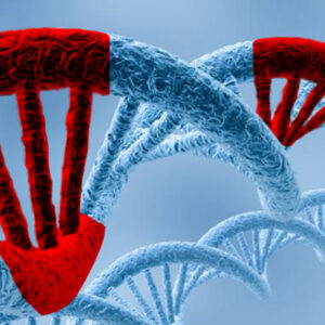 Cada mutación genética se asocia a distintos síntomas en el autismo