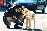 ¿Cómo ayudan los perros guía a los ciegos?