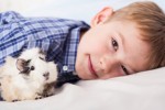 Perros, gatos e incluso arañas de mascota pueden ayudar a niños con autismo