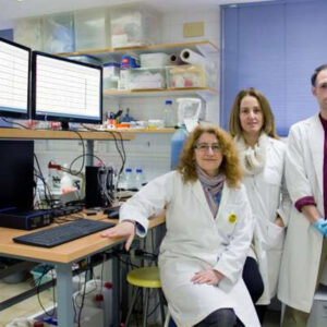 Utilizan neuronas de pacientes con síndrome de Down para ahondar en procesos genéticos de memoria