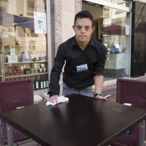 Insercion laboral