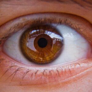 Ojo