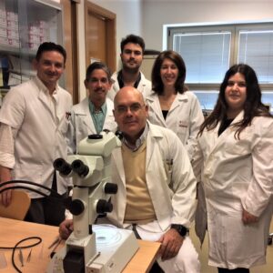 Doctores