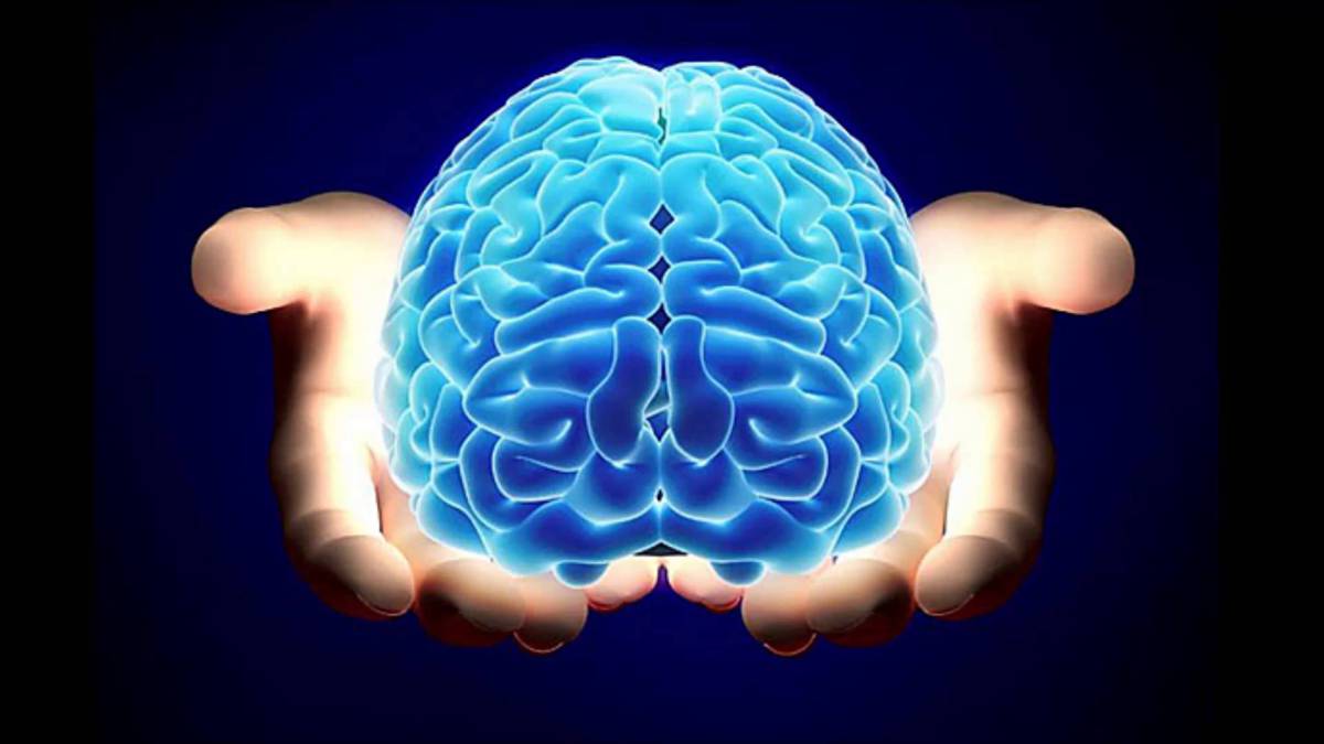 Cerebro