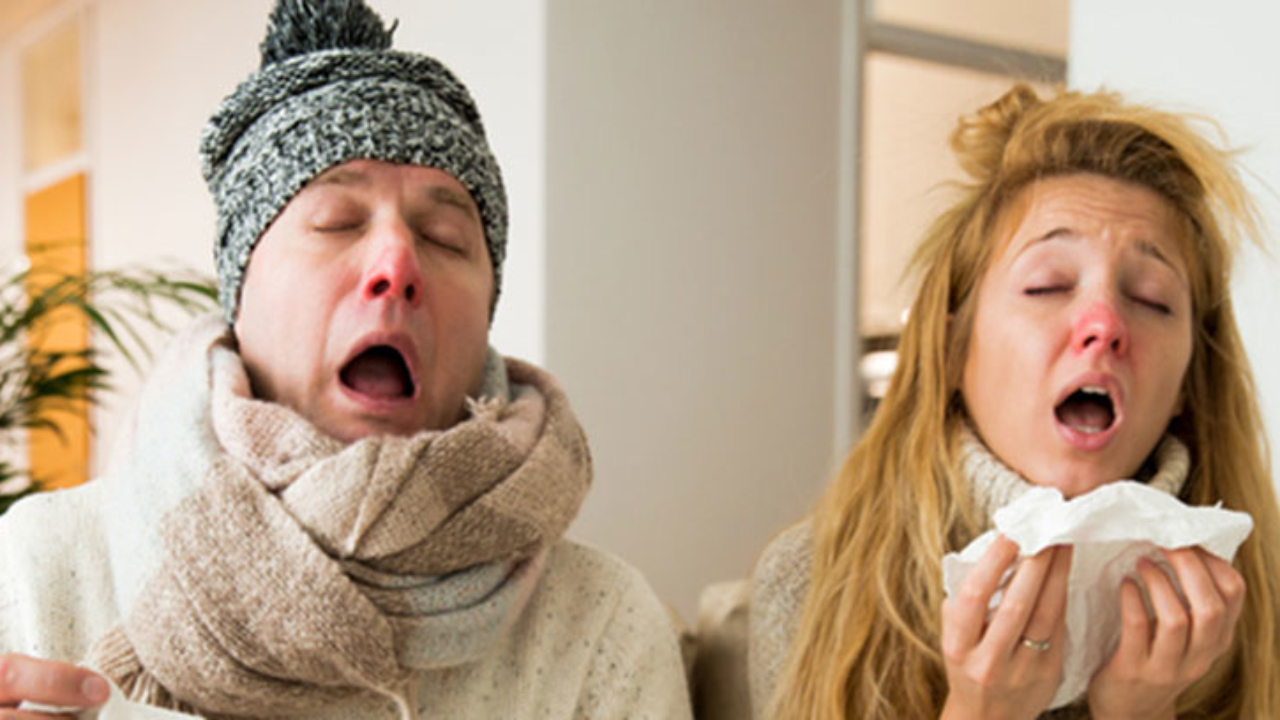 ¿gripe O Resfriado Diferencias Y Cómo Tratarlos Todos Somos Uno