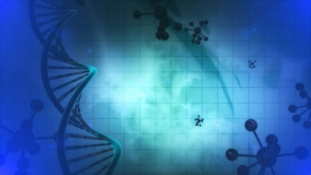 Descubren nuevos genes vinculados al autismo y otros trastornos neurológicos