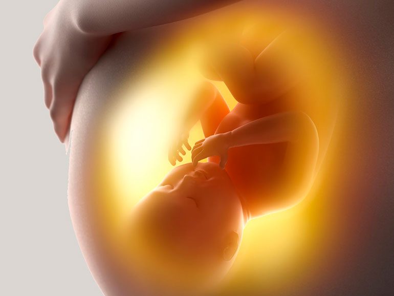 Depresión y ansiedad en el embarazo afecta desarrollo de los bebés, alerta la UNAM